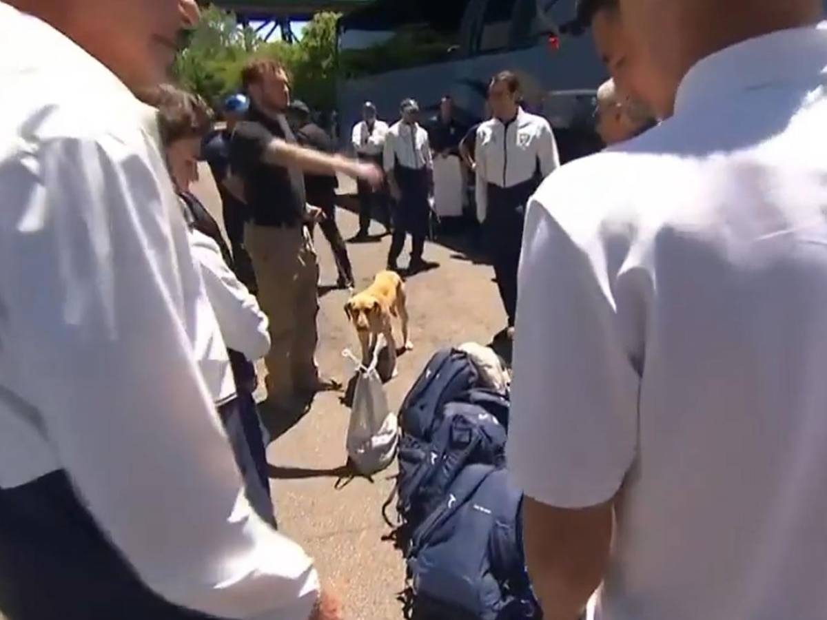 Como criminales: EEUU recibe con cacheos y perros rastreadores a selecciones del Mundial