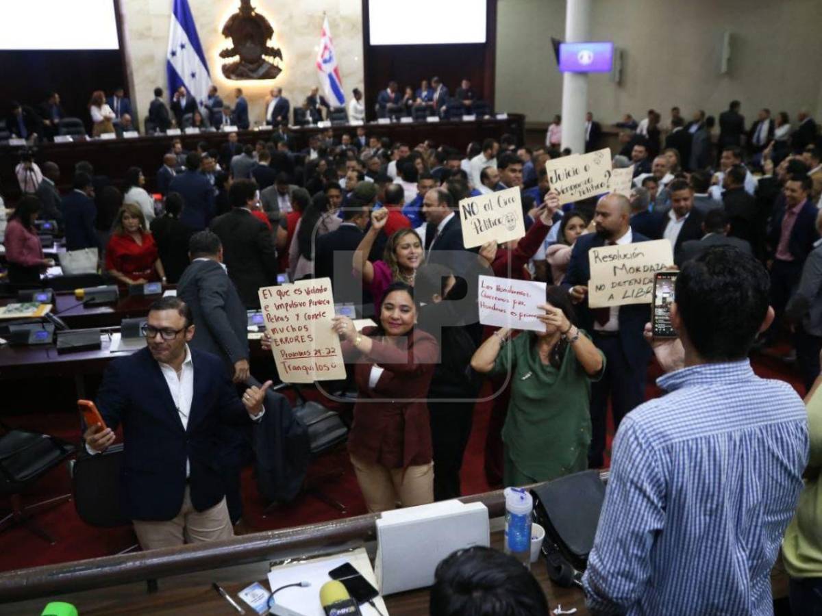 Tensión: Diputados se fueron a los empujones por destitución de Johel Zelaya