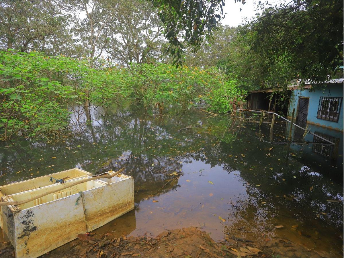 Impactos y afectaciones tras la recuperación del único lago en Honduras
