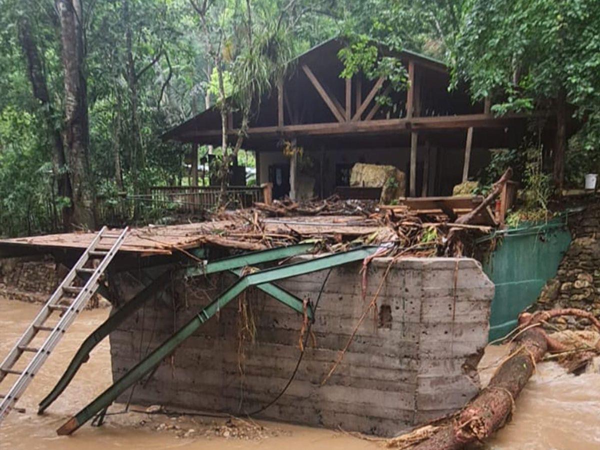 Guacamayas y loras murieron: lluvias destrozan parque en Copán Ruinas