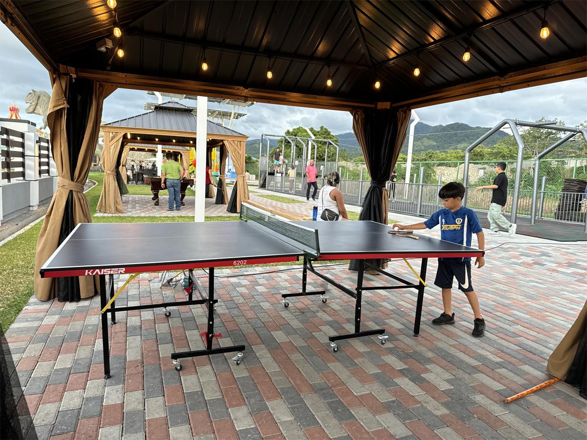 ¿Te gusta competir? Juega en la mesa de ping pong y qué gane el mejor.
