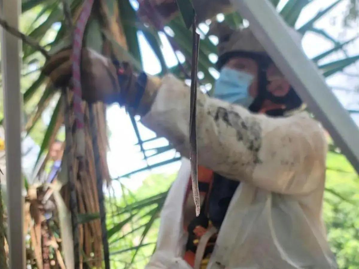 Así fue el hallazgo del joven lanzado a una cloaca en Tegucigalpa; cae sospechoso