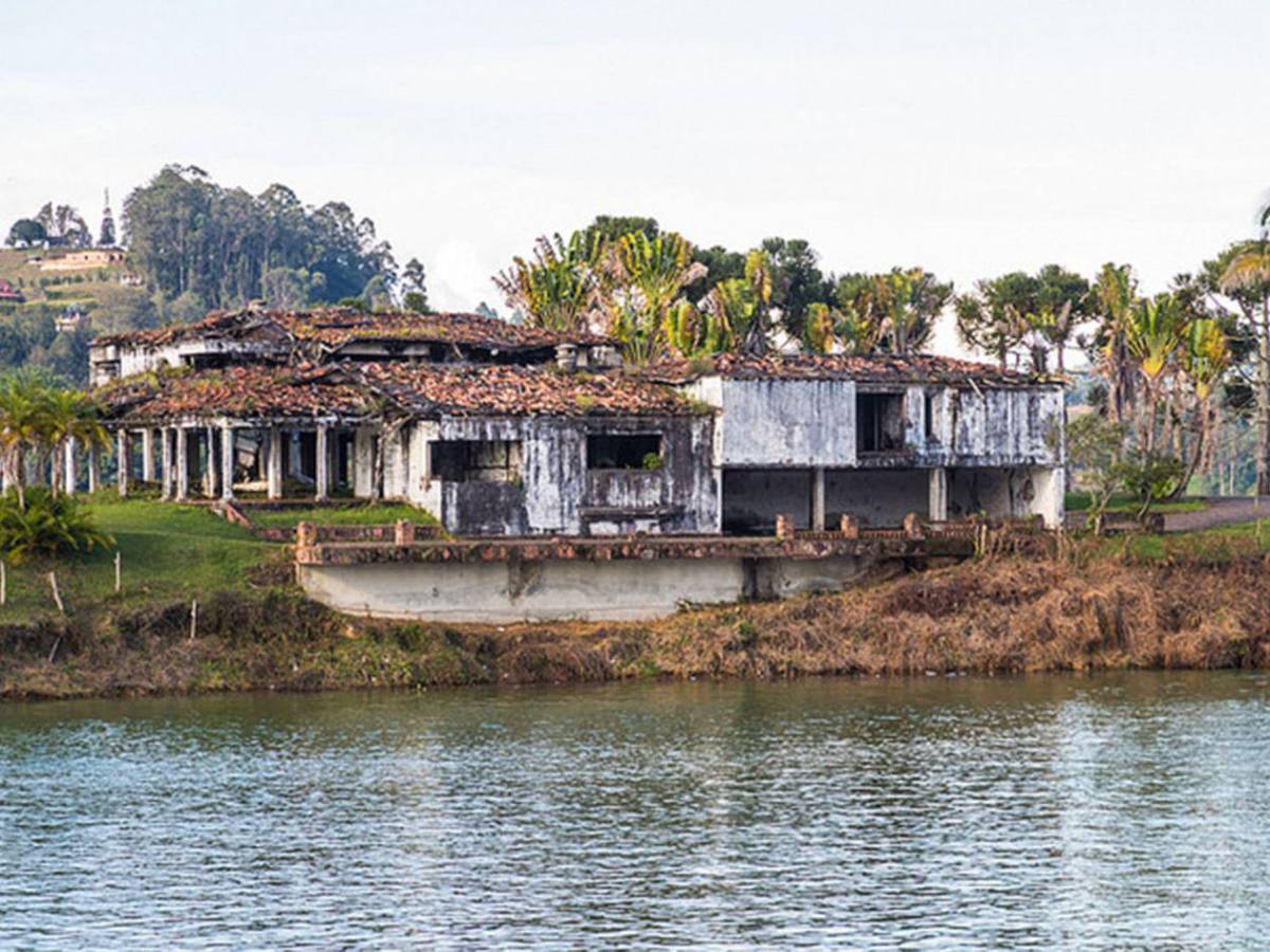 Invasión sin control: los hipopótamos de Pablo Escobar un riesgo para los colombianos