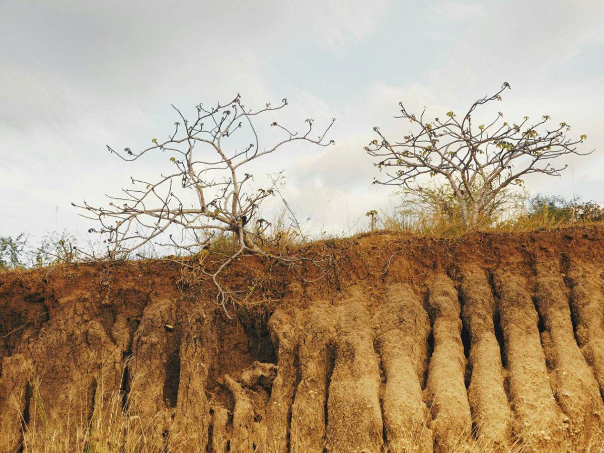 Histórico: la Tierra enfrenta bancarrota hídrica, según la ONU