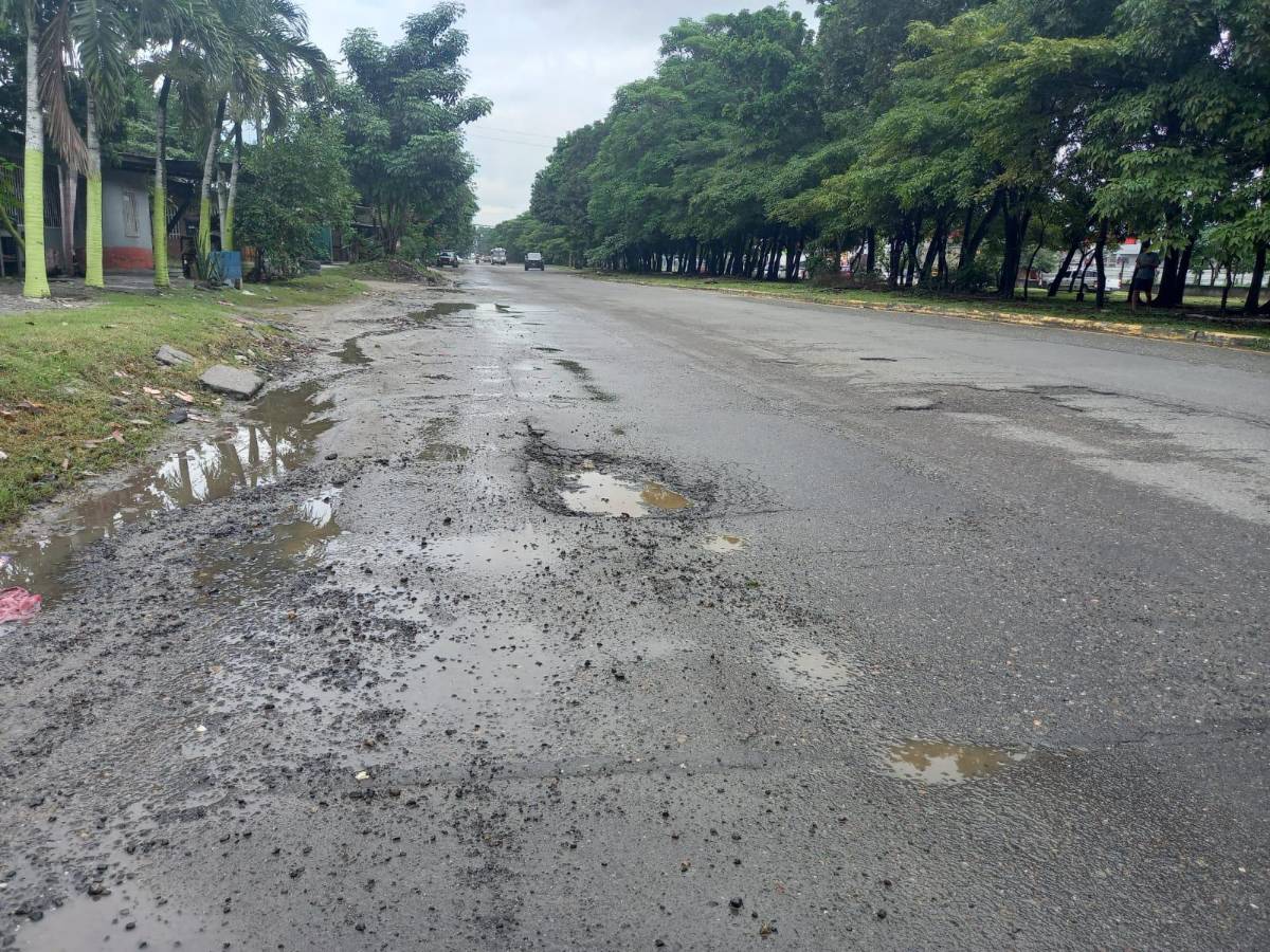 Con llantas y ramas alertan de baches en el segundo anillo de SPS