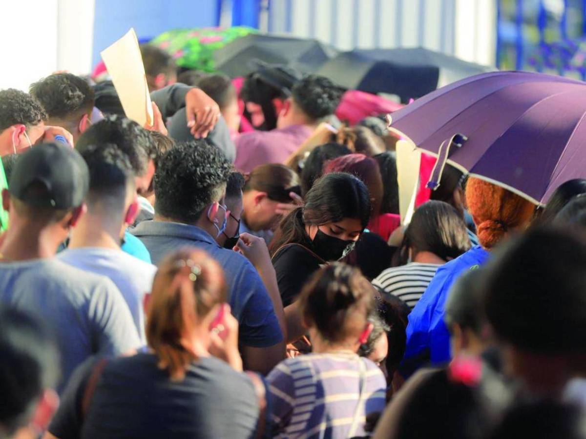 Estas son las ofertas laborales en las bolsas de empleo públicas y privadas en Honduras