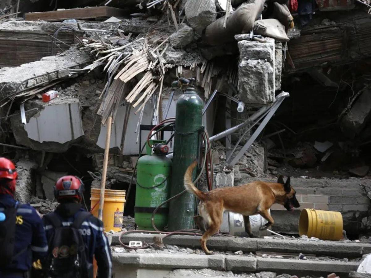Hallan sin vida a Valentina Vanegas, madre del bebé rescatado tras terremoto en Colombia