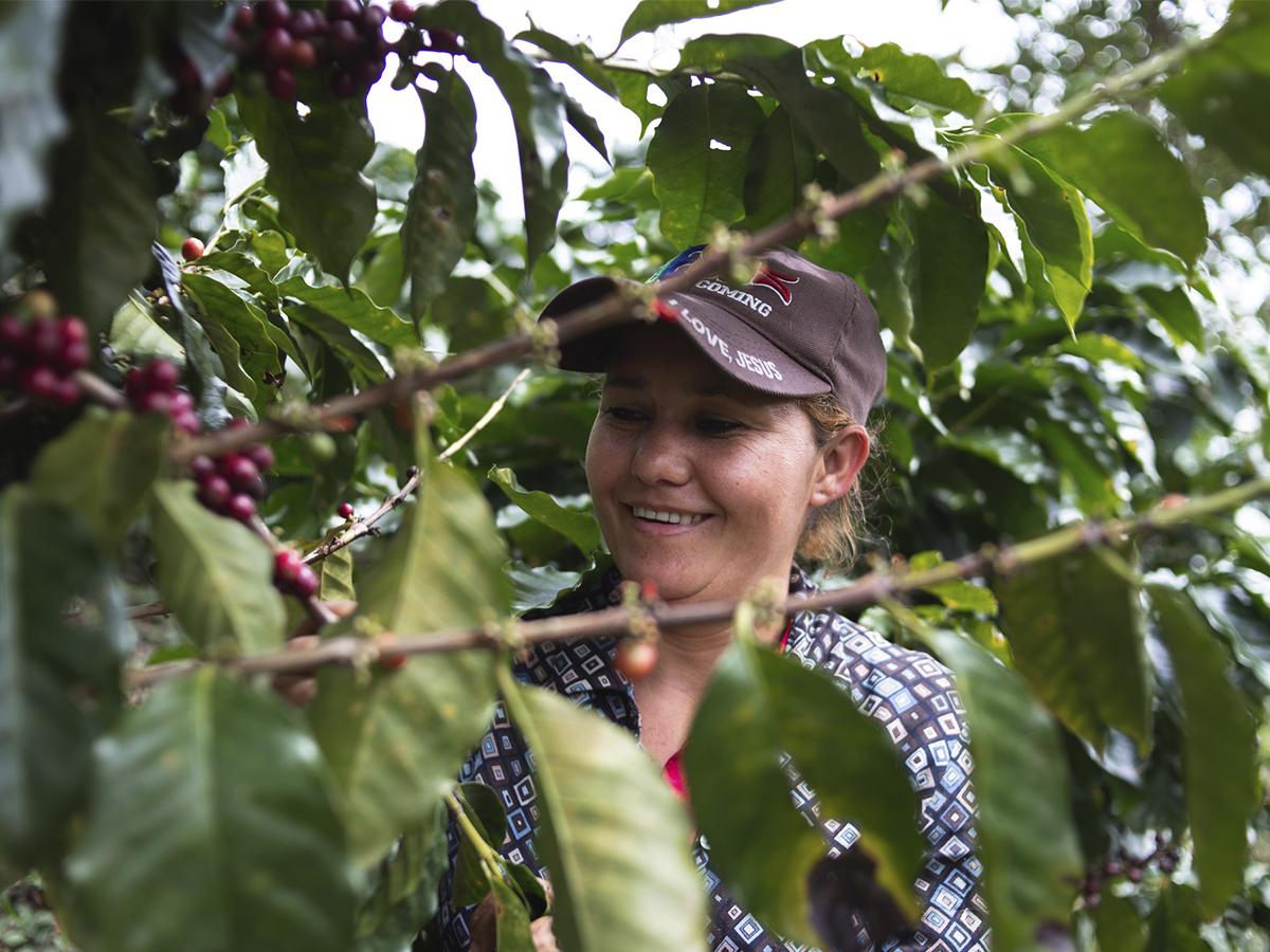 Los empleados de Finca Santa Isabel son el corazón de la producción de café de calidad y conservación ambiental.