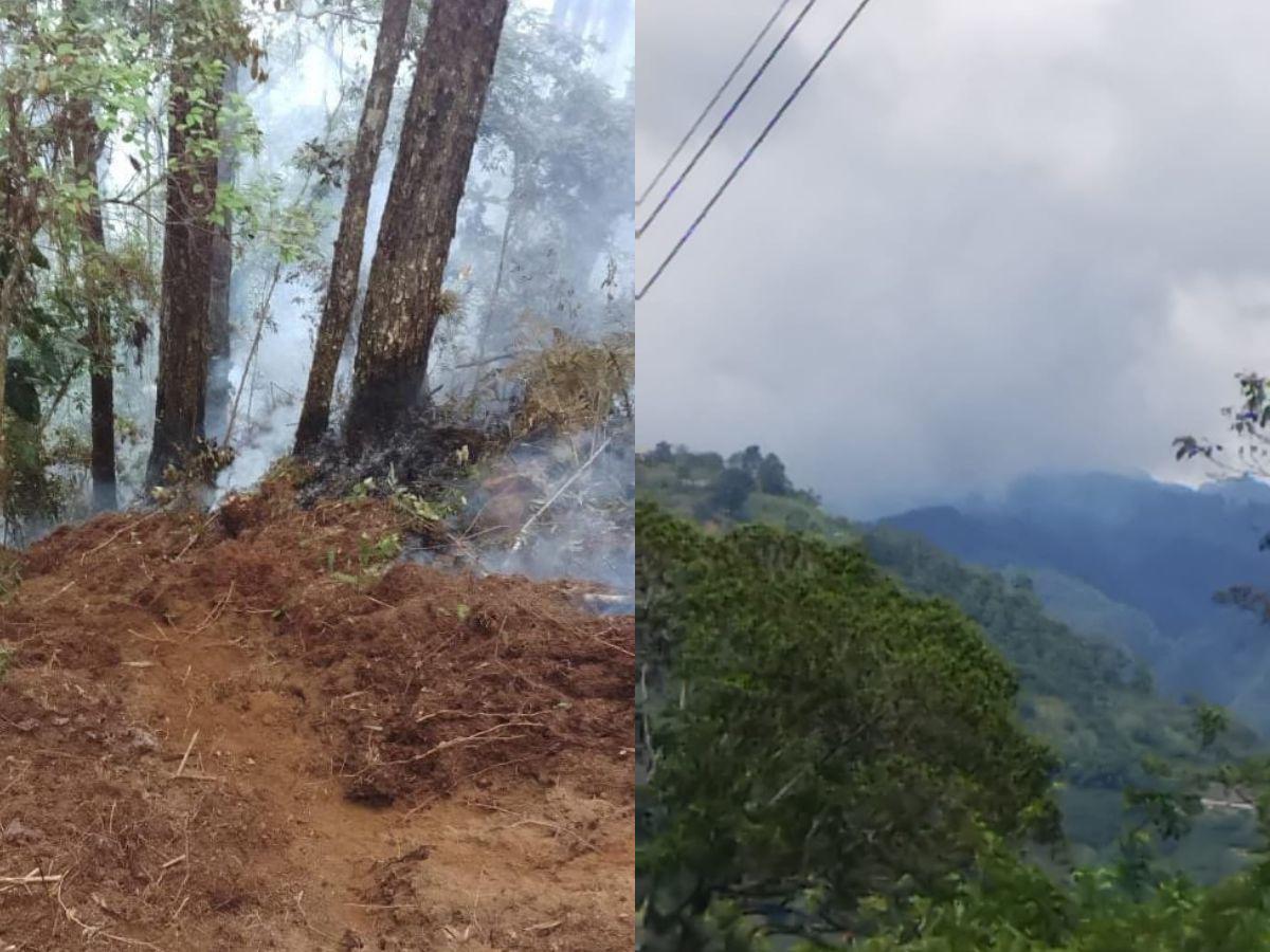 Incendio consume decenas de hectáreas en Parque Nacional Cusuco