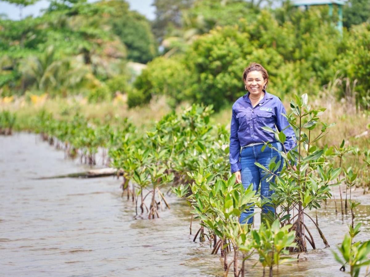 Regresa a la vida la laguna de Centeno con 37,000 mangles en Omoa