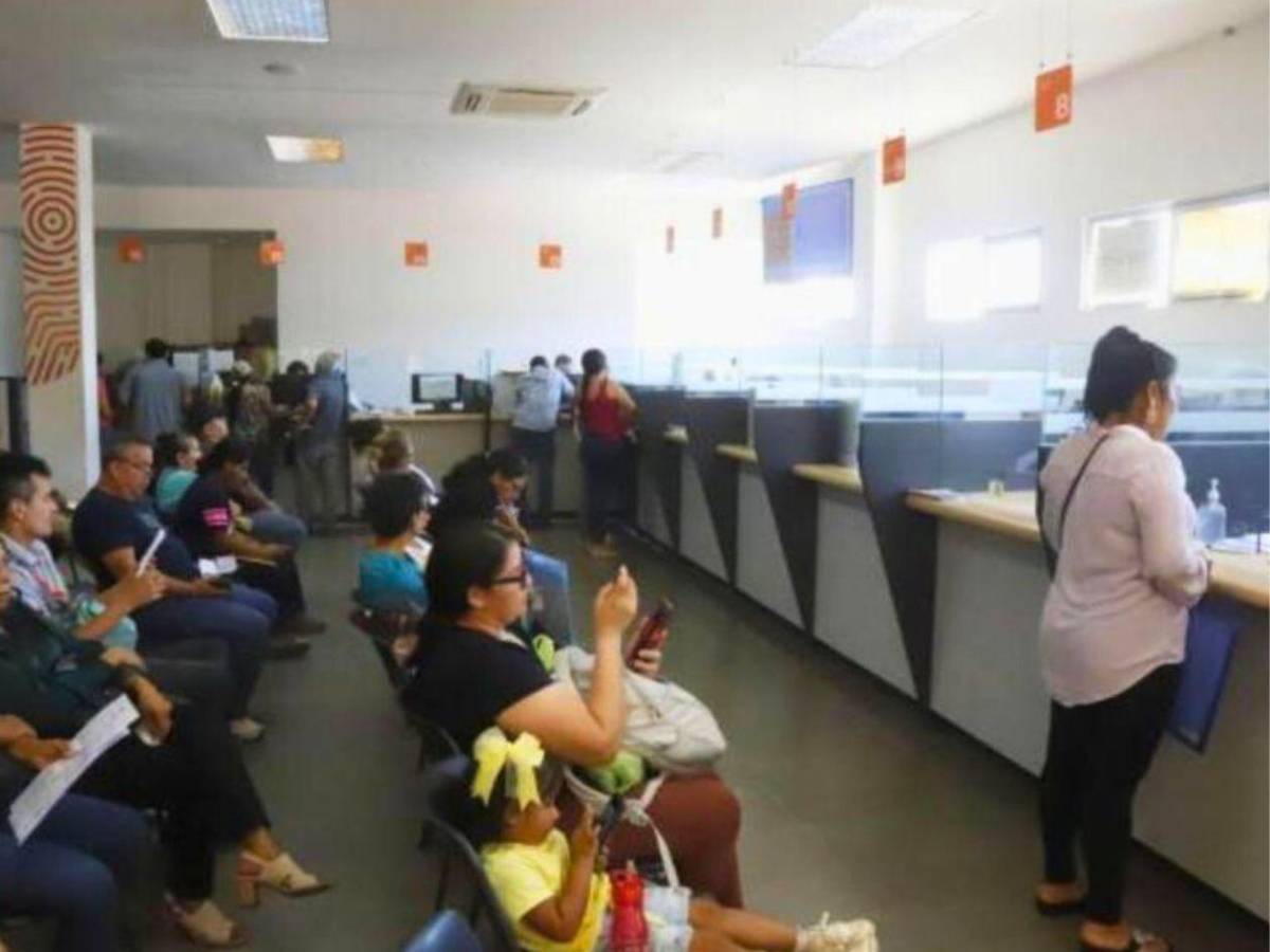 Estos son los puntos donde puedes reponer gratis tu DNI en San Pedro Sula