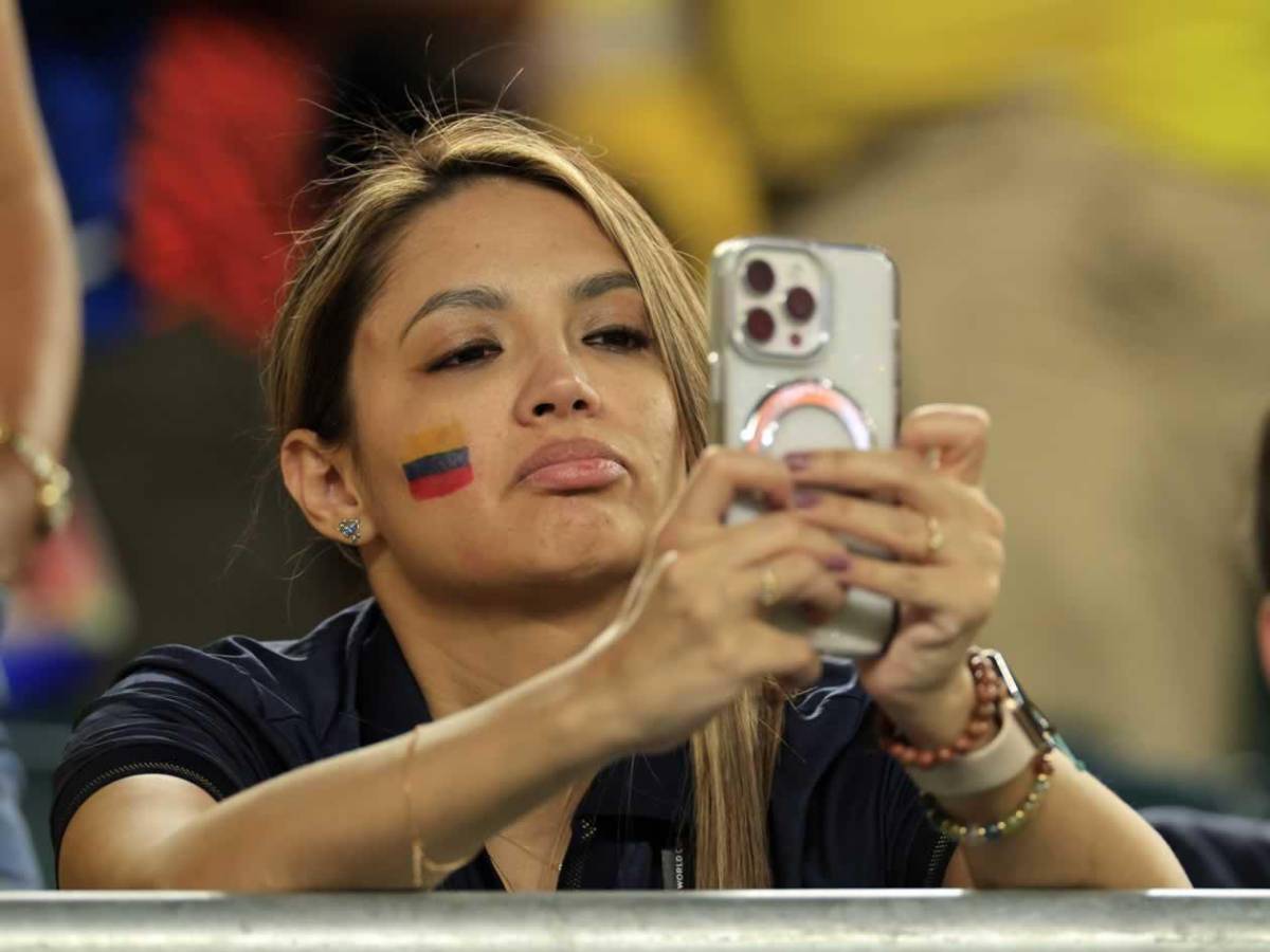 Héroe de Costa de Marfil, tristeza de Ecuador y afición, de la fiesta al drama en el Mundial