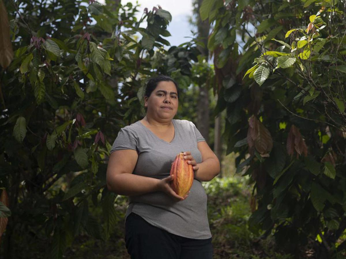 La conservación de El Merendón es una de las prioridades de Cervecería Hondureña, en donde la empresa mantiene programas ambientales y sociales como la siembra de cacao, con el fin de recuperar esta zona de reserva.