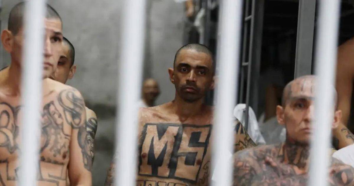 They request to prosecute greater than 1,200 MS-13 gang members