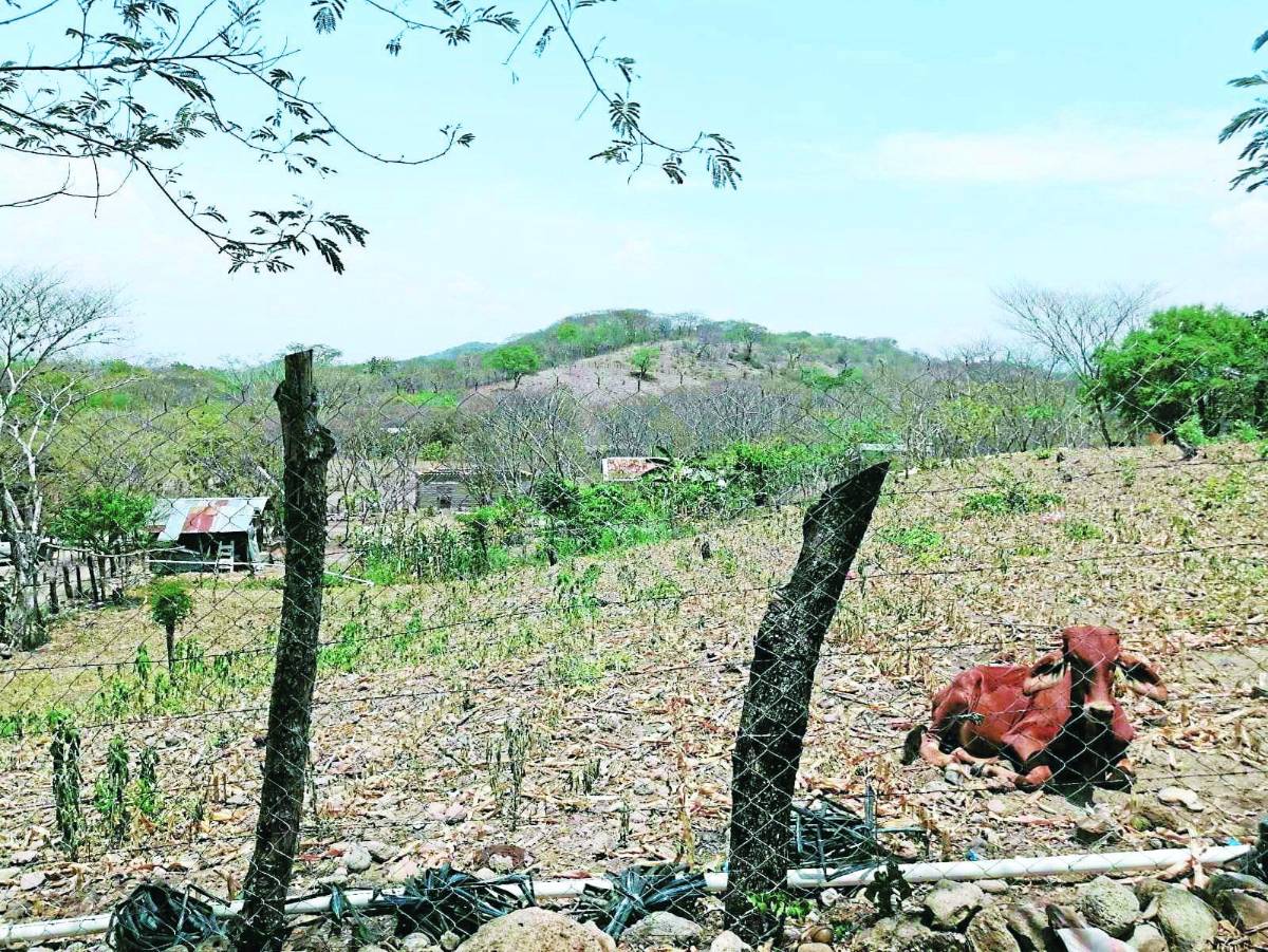 Remesas salvan a las familias hondureñas afectadas por la sequía