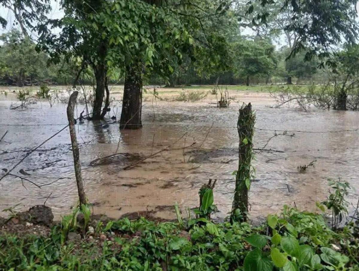 Fuertes lluvias azotan varias regiones de Olancho y provocan desbordamientos de ríos