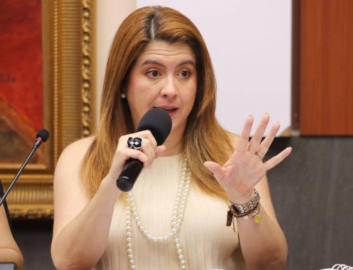 Cossette López publica alarmante mensaje por crisis en el CNE