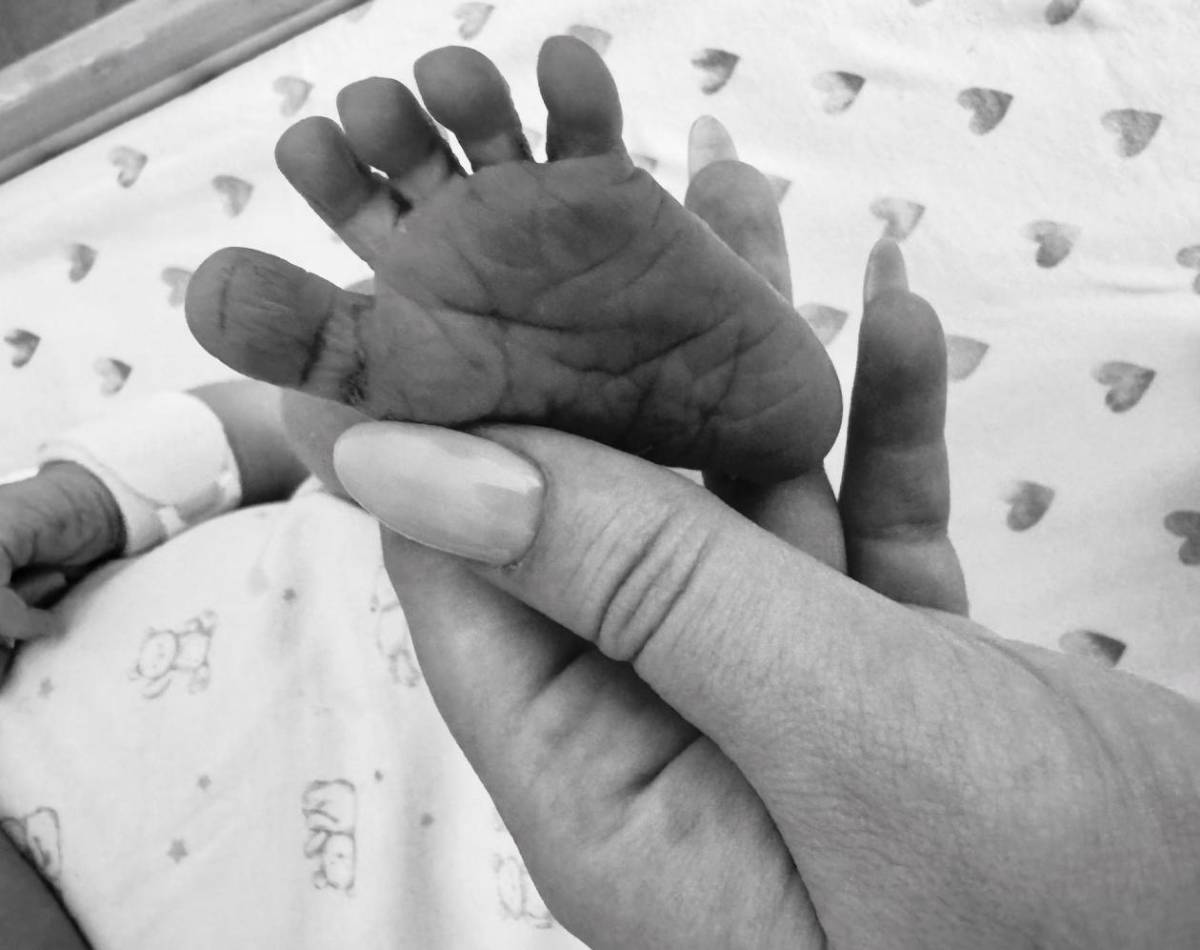 ¿Quién es Michael Boulos? El esposo libanés de Tiffany, la hija menor de Donald Trump