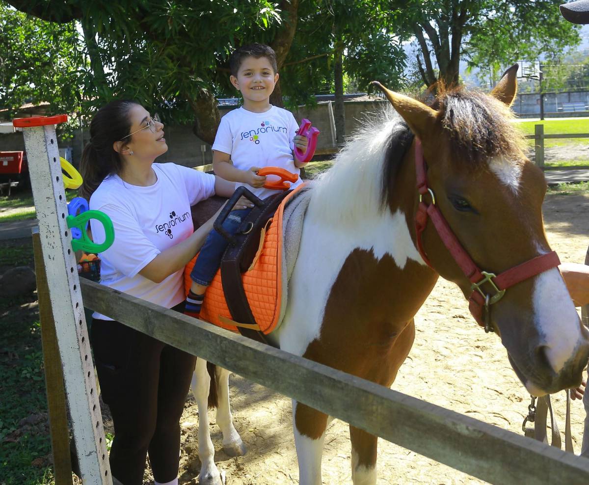 Descubra el poder de la equinoterapia
