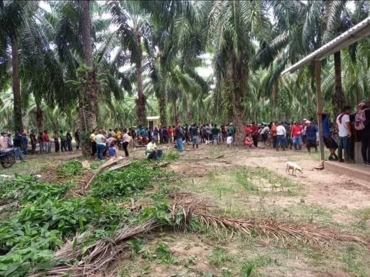 Hombres armados sacan a guardias e invaden una finca de palma africana en Colón