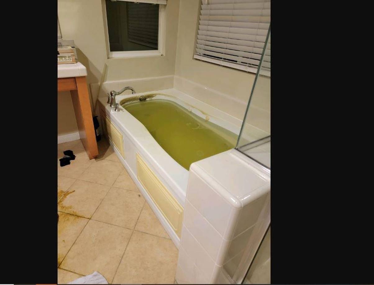 Jane Carter publicó las imágenes gráficas del baño, que mostraban lo que parecían ser heces en el piso y una tina llena de agua verde, y señaló que las imágenes no fueron tomadas por la policía.