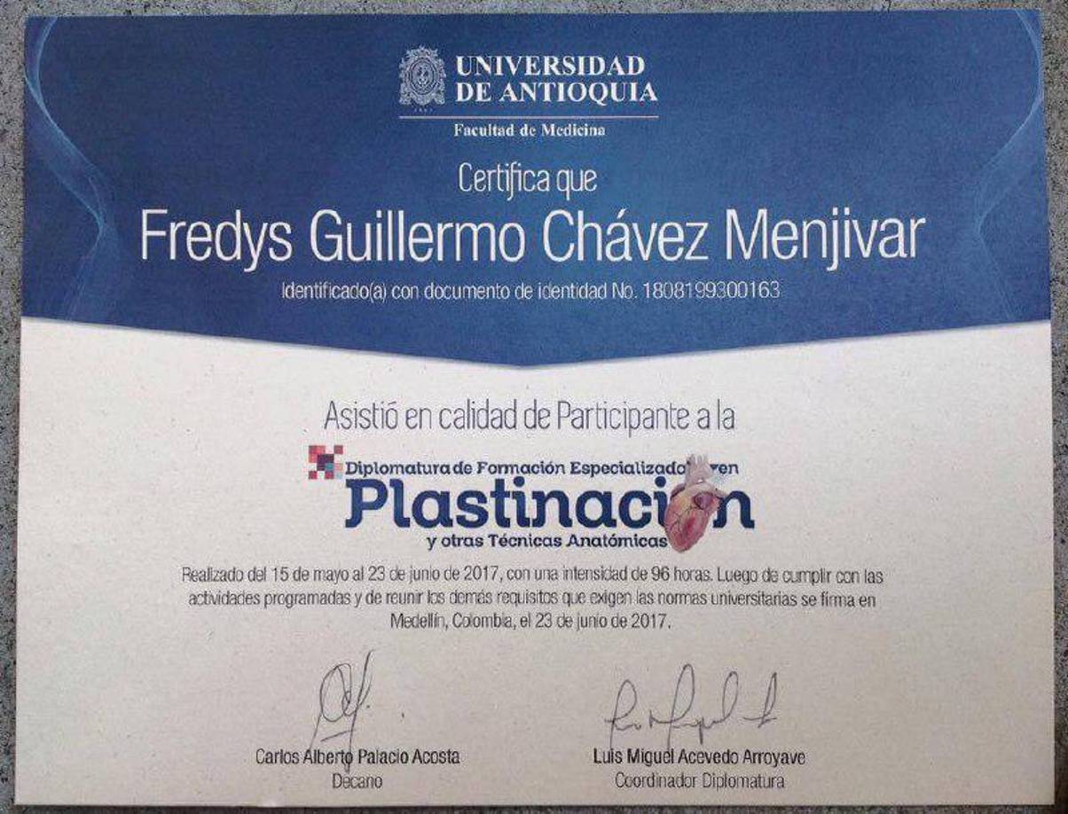 Meses después, recibió respuesta por parte de la Universidad de Antioquía, en Medellín Colombia, donde lo invitaron a un diplomado en plastinación y otras técnicas anatómicas. Fredys viajó a Colombia con el apoyo de la Unicah y recursos propios. Durante el diplomado destacó por sus habilidades, superando incluso a médicos de renombre en la región.
