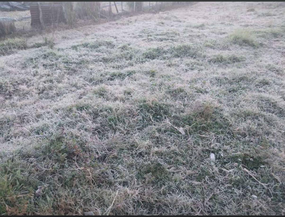 ”Esto está perro”, se escucha en un relato de un señor identificado como José Gómez.