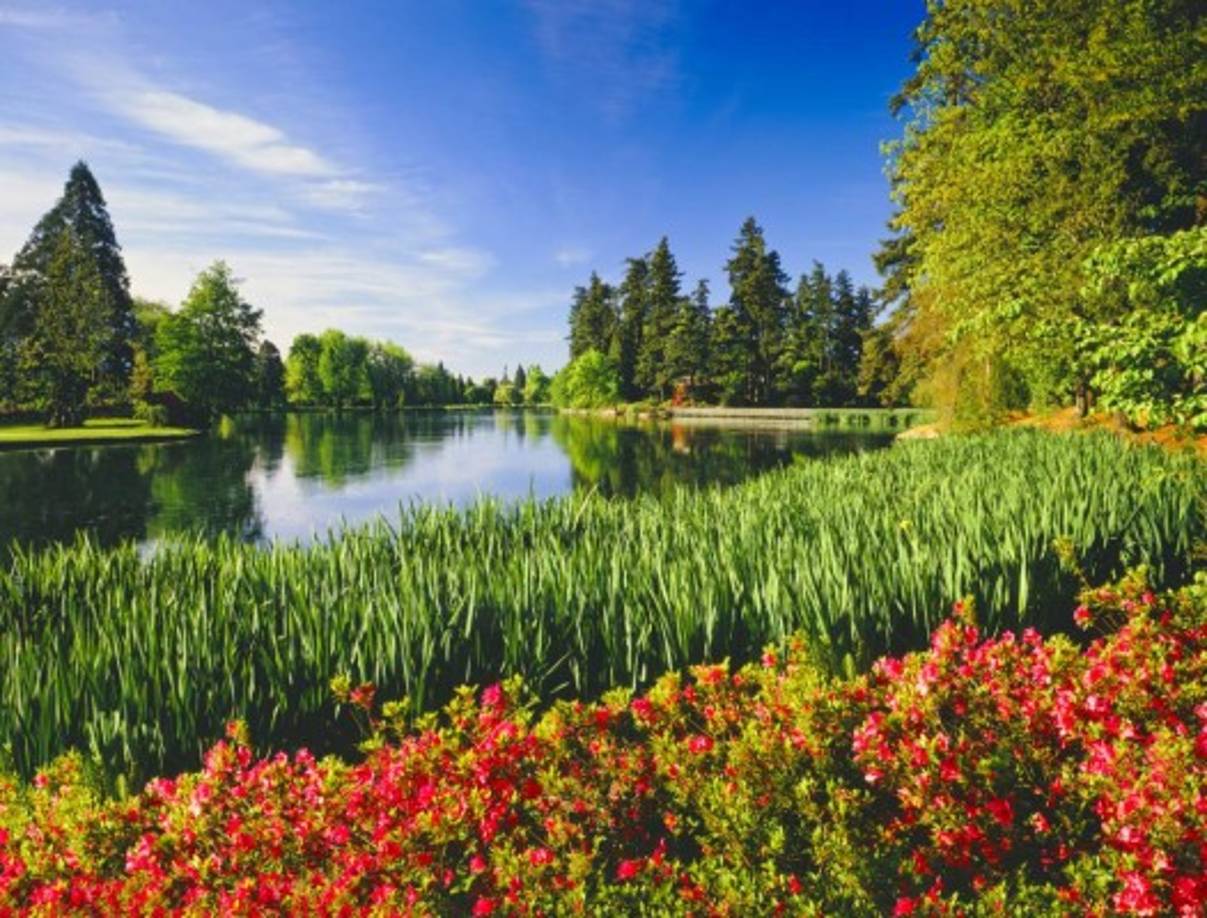 Portland, Oregon. En esta ciudad estadounidense florecen hermosas flores en sus bosques y lagos.
