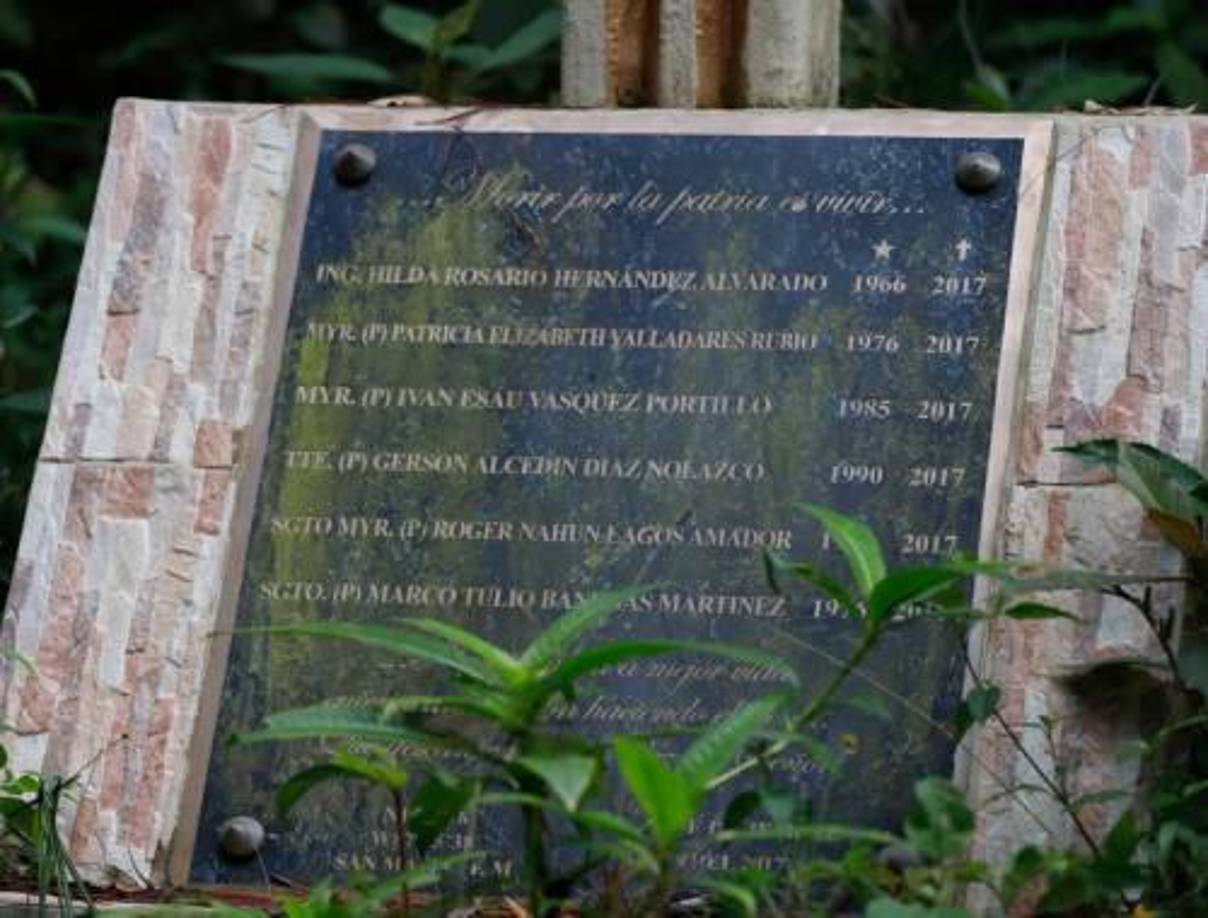 Cables achicharrados en medio del follaje cerca de un árbol partido y ahumado con vestigios de haber tomado fuego y un ramo de rosas marchito por el pasar del tiempo acompañan la sombría escena.