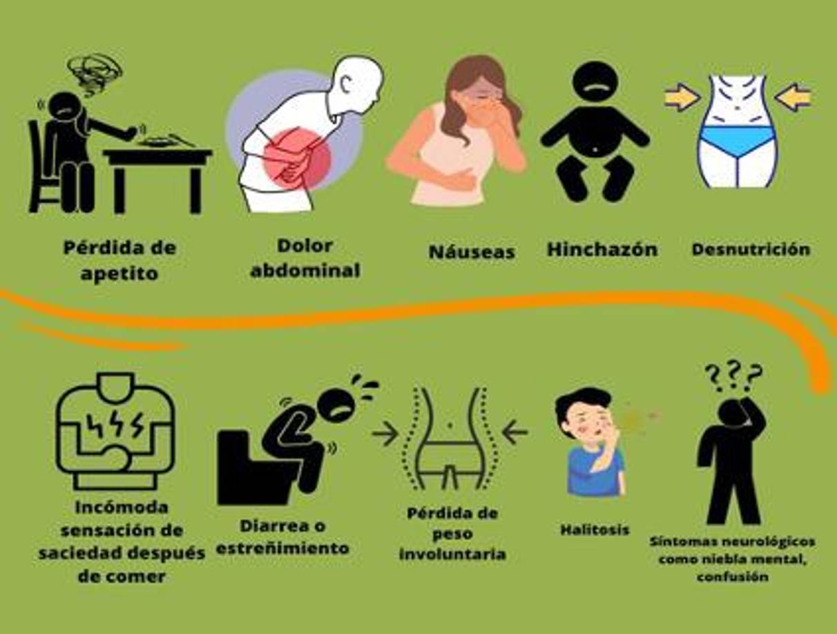 Los síntomas del SIBO/IMO pueden estar relacionados con los nutrientes mal absorbidos y cambios de permeabilidad o con las consecuencias nutricionales de malabsorción. “En el primer caso, los más comunes son <b>dolor abdominal, diarrea o deposiciones alternantes, heces pálidas</b>, distensión abdominal, flatulencias y eructos. También esteatorrea (más grave) y algunos signos de intolerancia a la lactosa”, señala Martínez.
