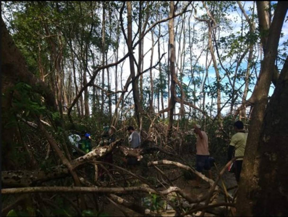 Tras horas de caminata, los investigadores lograron encontrar a la ballena que se encontraba a unos 15 metros de la playa.