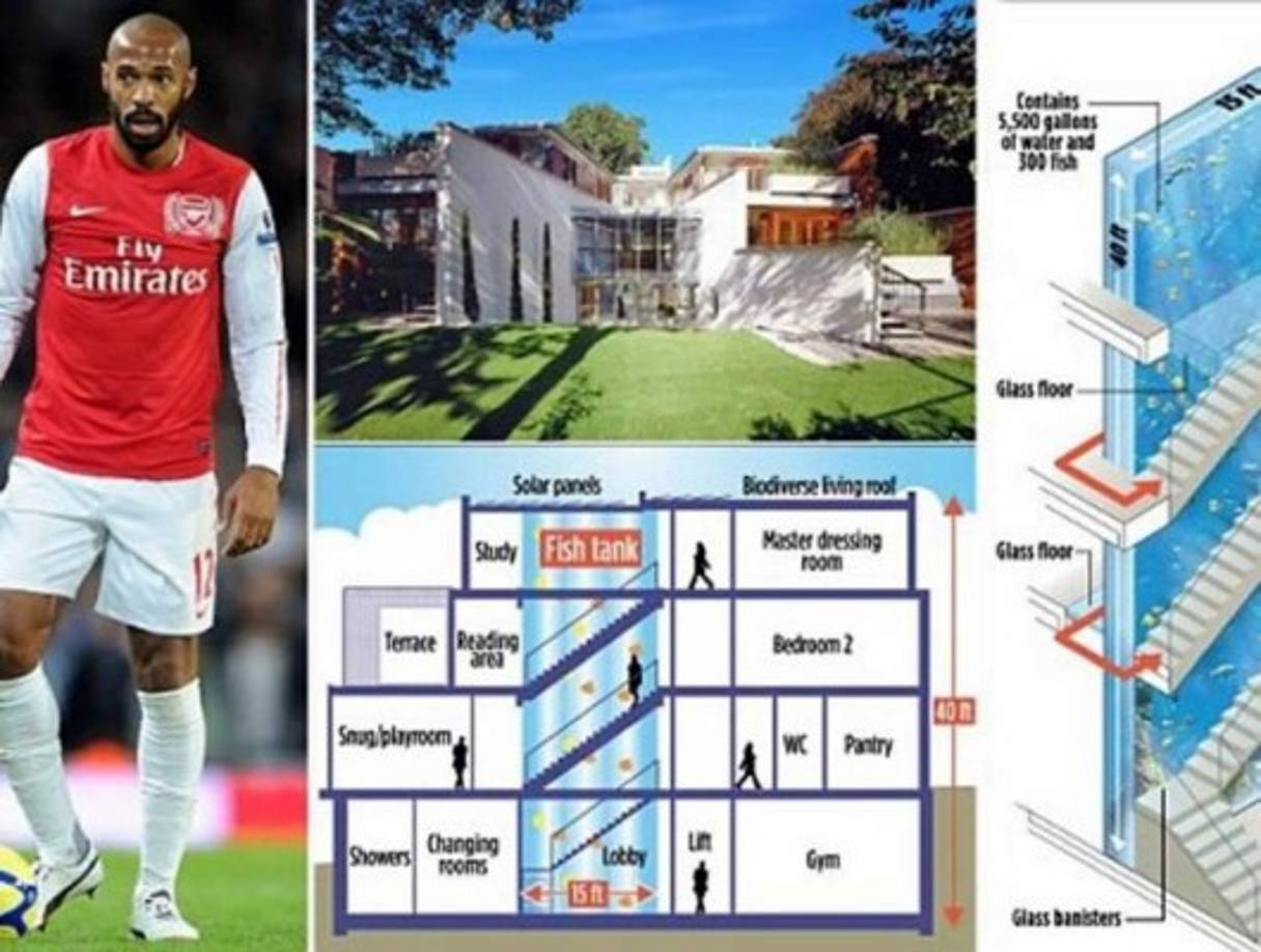 Cuando el francés Thierry Henry jugaba en el Arsenal quiso hacerse un acuario para su mansión. Pero no uno con un par de pececitos, uno de más de 12 metros de altura. El proyecto se valoró en unos 400.000 euros.