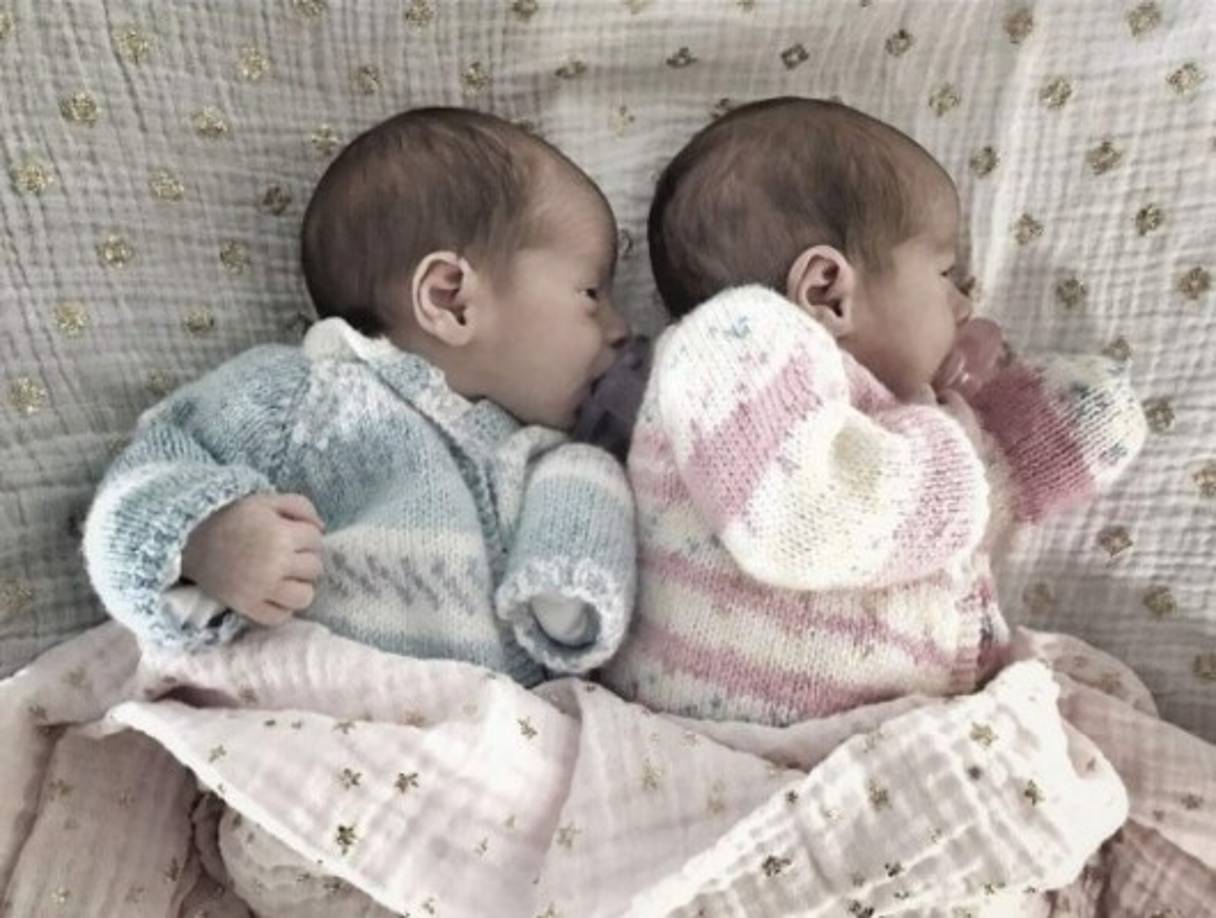 Los mellizos, Bárbara y Sebastián, nacieron hace poco más de un mes. <br/>Ludwika Paleta se convirtió en mamá por segunda vez, ya que tiene a su hijo Nicolás Haza, fruto de su relación con el actor Plutarco Haza.