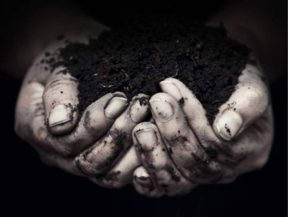 Manos tierra. Son de palmas grandes, largas y gruesas. Sus dedos son gruesos, ni largos ni cortos y representan su elemento por la sequedad de las manos y porque tienen siempre los pies en la tierra.<br/><br/>Siempre se aseguran de terminar lo que empezaron, son osados, sabios y hábiles usando las manos.<br/><br/>