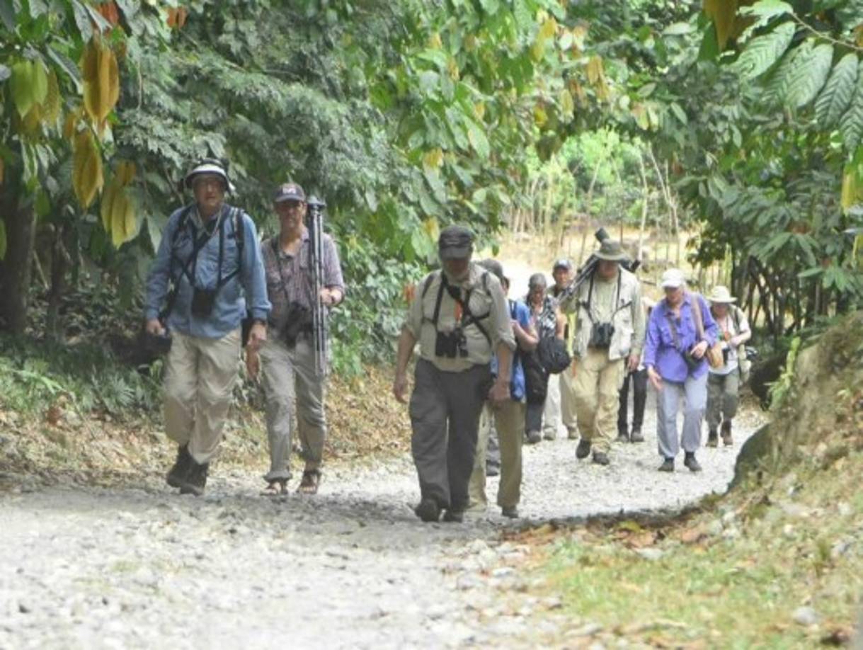 Este complejo turístico ubicado en la comunidad de El Pino, jurisdicción de el municipio de El Porvenir, en las faldas de la montaña del Parque Nacional Pico Bonito, dejará de prestar sus servicios a partir del próximo 30 de abril.<br/>
