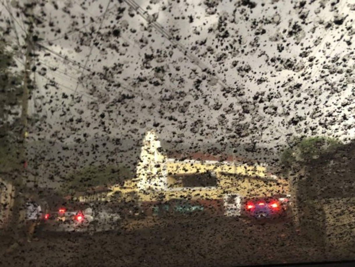 La fuerte explosión corresponde a la segunda fase eruptiva del año y ha afectado a comunidades rurales cercanas al volcán y poblados urbanos, entre ellos la ciudad colonial de Antigua./Foto: Twitter @cholilechuga.