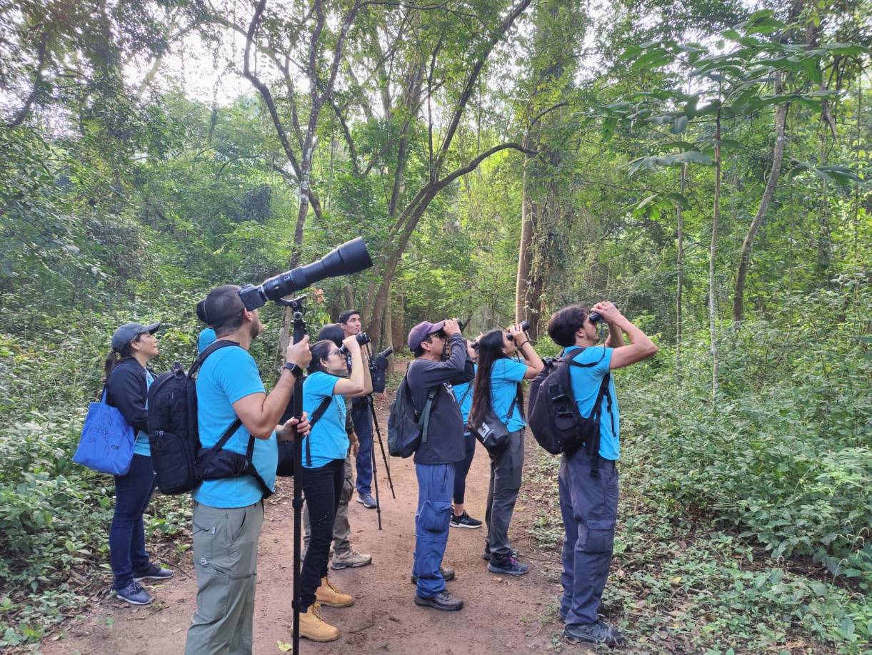 <b>El Festival de Aves Omoa 2024, es parte de una serie de eventos que organiza la empresa Honduras Turismo y Marketing S.A. (HTM), que se dedicada a la organización de eventos, planificación turística, asesorías a empresas turísticas, capacitación y mercadeo.</b>