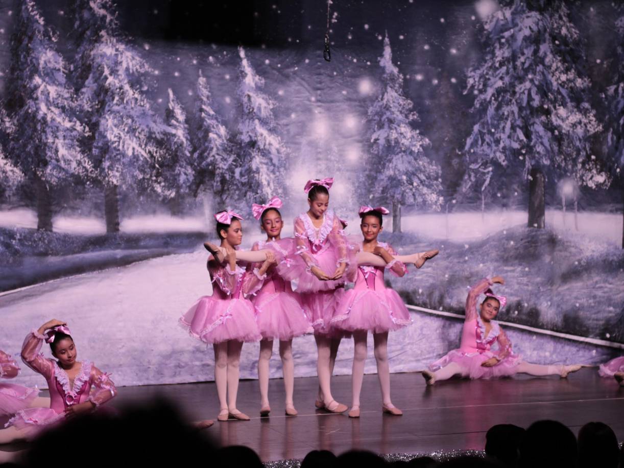 Cabe destacar que en la presentación, varios bailarines fueron galardonadpos con diplomas y ramos de flores por su brillante trayectoria en la danza.