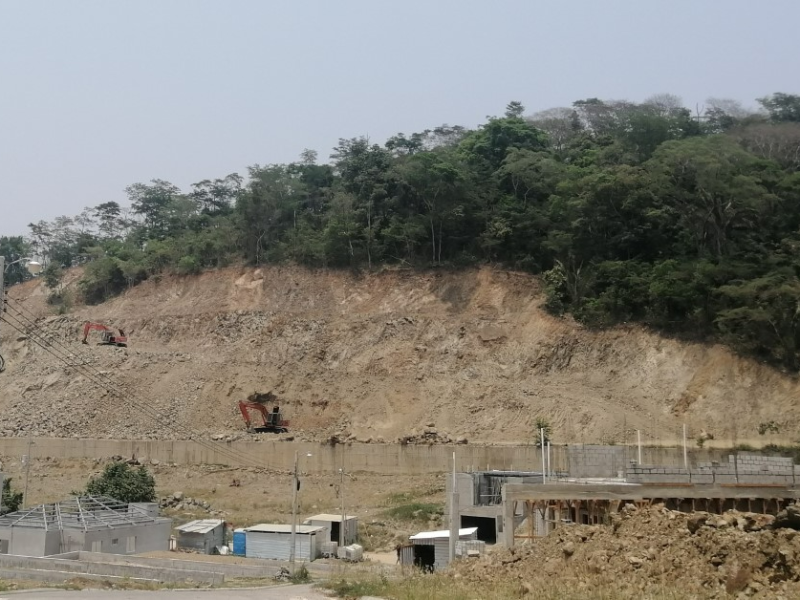 Con esta medida frenarían la deforestación en la zona.