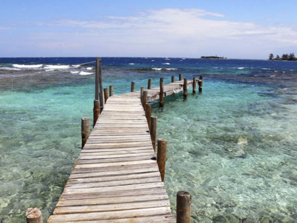 El ecosistema marino de Cayos Cochinos conserva unas 110 especies de arrecifes de coral, bellezas que solo pueden ser apreciadas a través de la práctica de buceo y el snorkel.