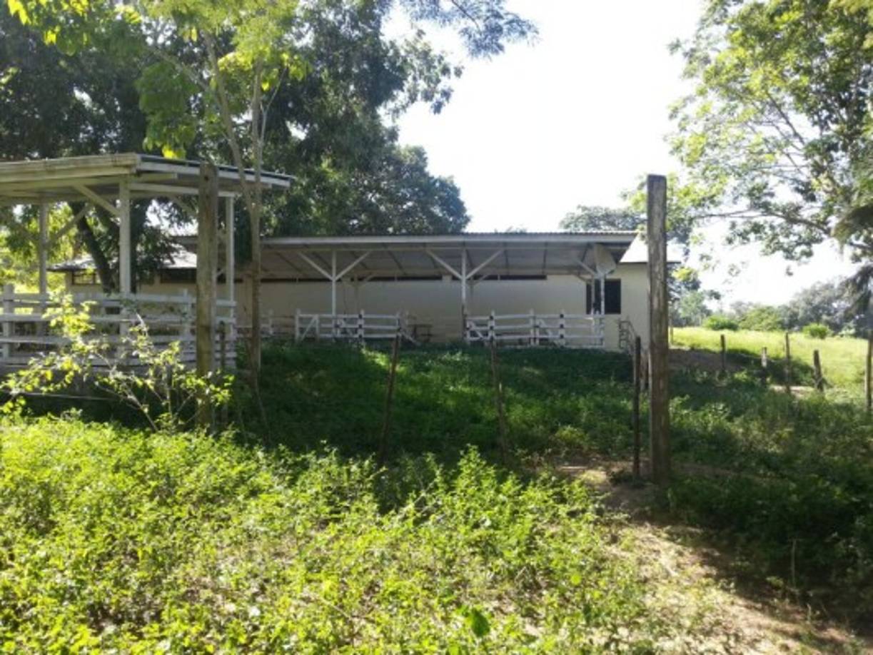 Vista de una de las finchas que presuntamente son propiedad de Don H.