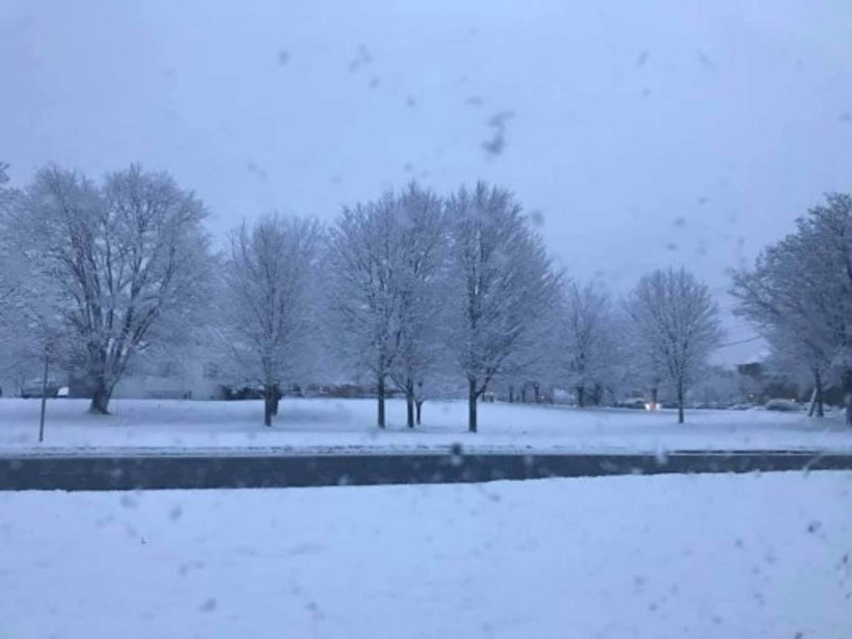 'Saliendo del trabajo en el estado de Virginia', escribió Isamar Ortega junto a una imagen en donde se observa la calle y varios árboles cargados de hielo.