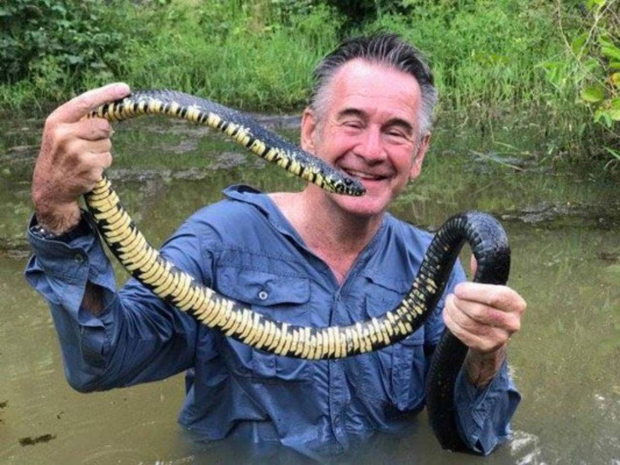 En su red social de Facebook, el documentalista publicó respecto a esta imagen: 'El rodaje continúa de manera espectacular con una serpiente de tigre en el rodaje de Wild Honduras. Una de las serpientes colubridae más grandes en América Central; estas serpientes a menudo inflan sus cuellos y silban cuando son capturados. Son depredadores increíblemente veloces y a menudo evitan todo el proceso de constricción y se tragan un ave, lagarto o presa de mamíferos, vivos'.