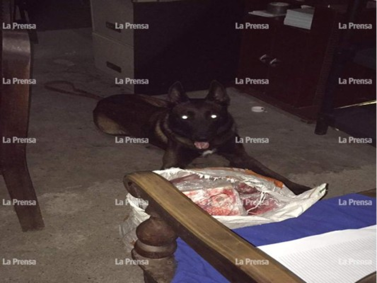 Preliminarmente se informó que seis personas fueron detenidas, entre ellas, Ramón Jiménez Rosales, dueño del 'car wash'.