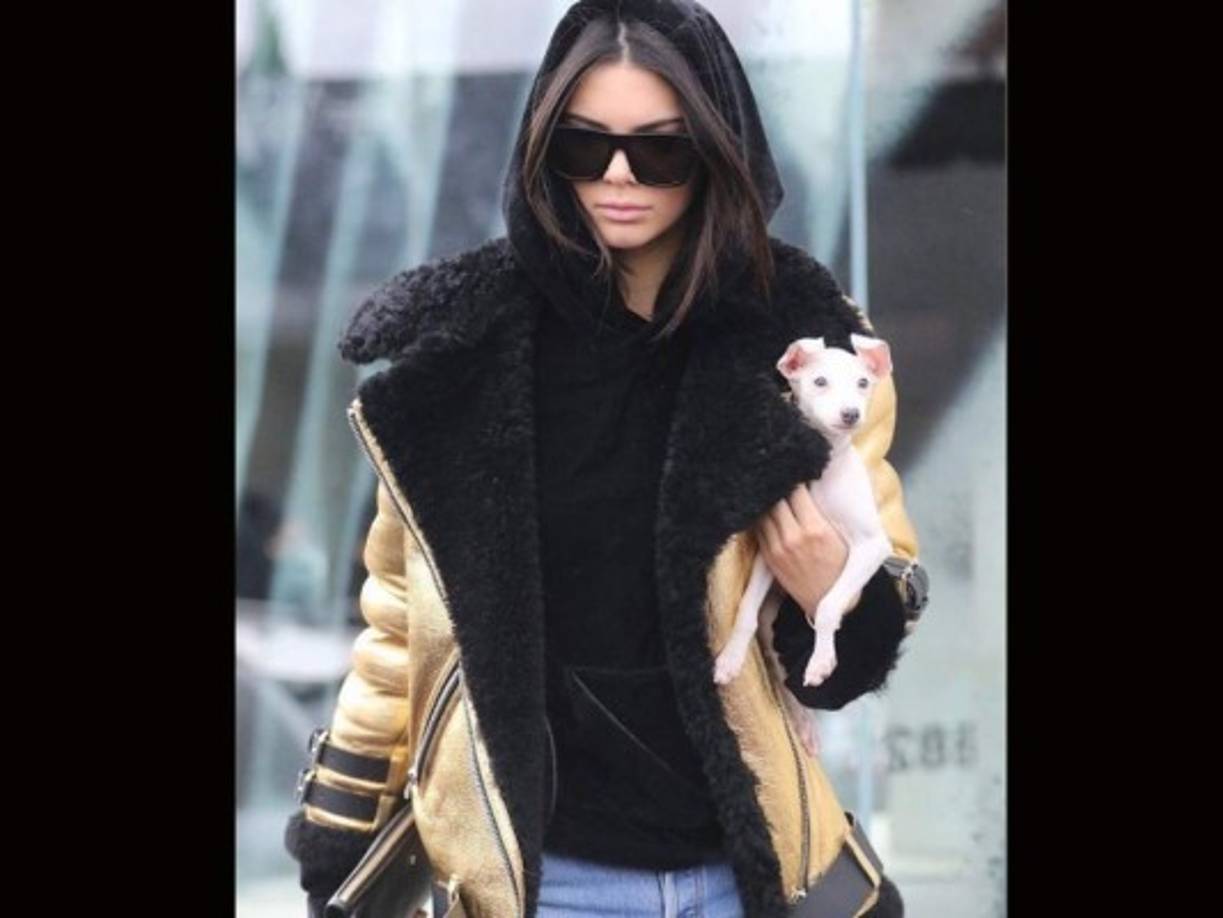 Kendall de 21 años siempre comparte fotos con sus más de 82 millones de seguidores en Instagram.