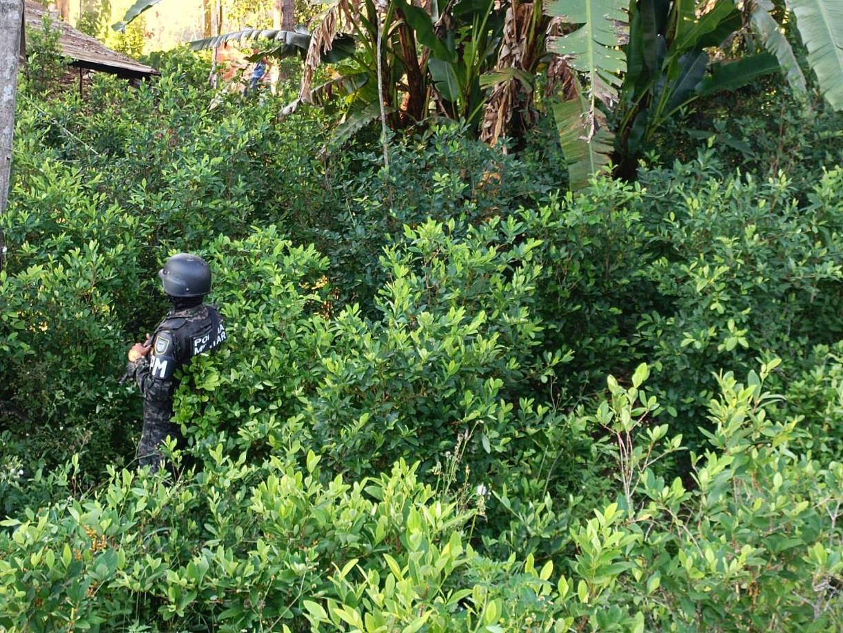 También han destruido 24 laboratorios para procesar drogas, en el marco del Plan Nacional de Solución Contra el Crimen aprobado a finales de marzo por el Gobierno para frenar la violencia criminal.