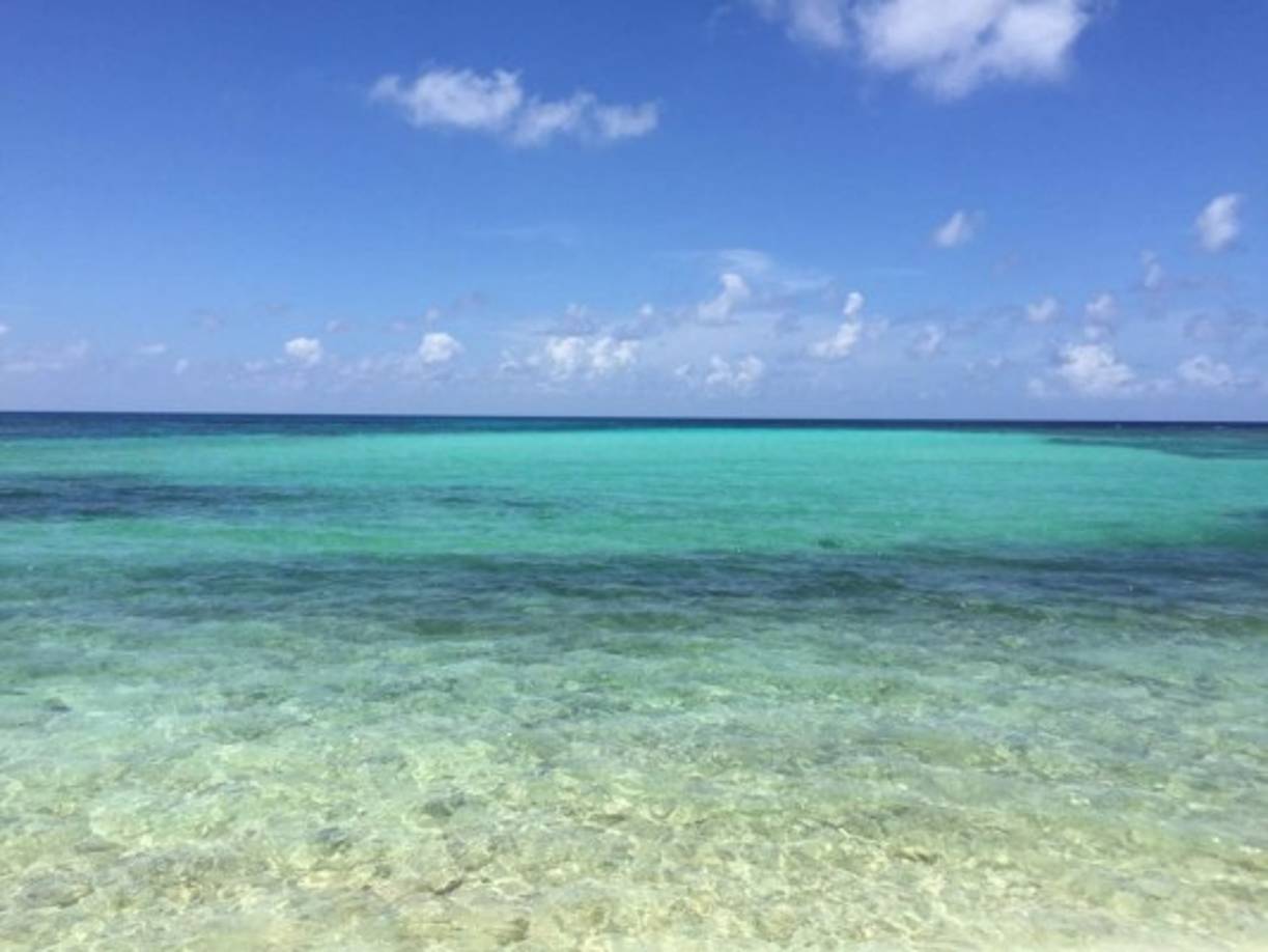 Las Islas del Cisne son parte del territorio insular de la República de Honduras en Centroamérica.