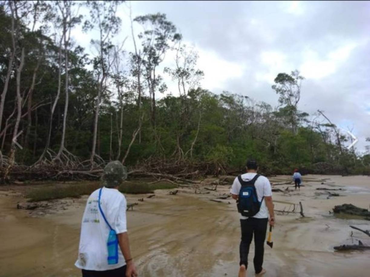 Biólogos de la ONG Bicho D’ Água se desplazaron a la zona para buscar al catáceo.