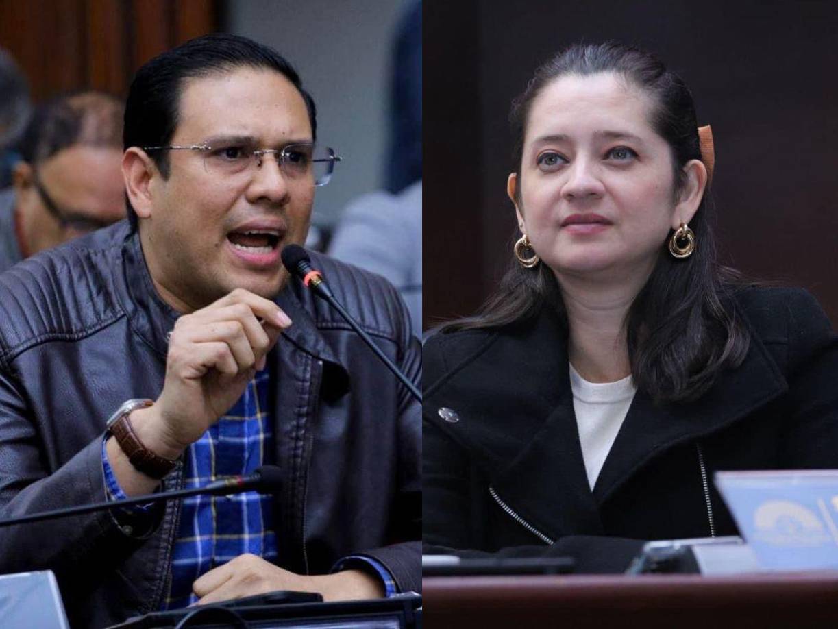 Mauricio Rivera y Scherly Arriaga, diputados del oficialista Partido Libre, protagonizaron una trifulca en redes sociales por el narcovideo en el que aparece el exdiputado Carlos Zelaya. 