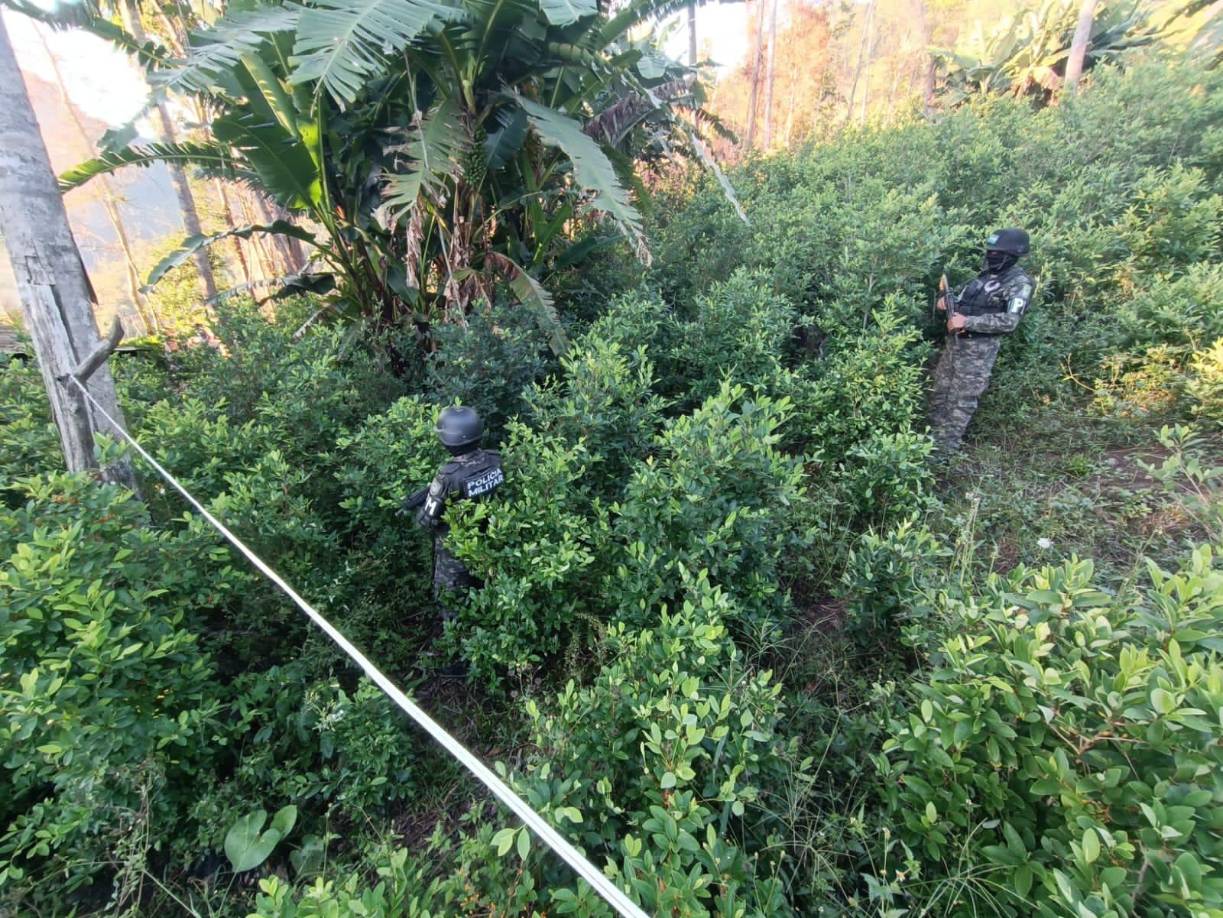 El Plan Nacional fue aprobado por el Consejo Nacional de Defensa y Seguridad, que encabeza la presidenta de Honduras, Xiomara Castro, según el Ejecutivo en Tegucigalpa.